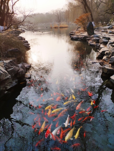 九州ku酷游·(中国)官方网站