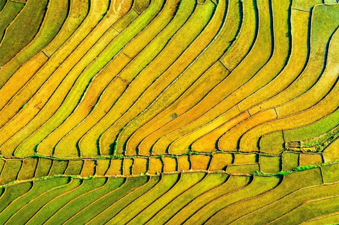 在印度做的这场实验，，，适合中国吗？？丨九州ku酷游头脑力夏日论坛