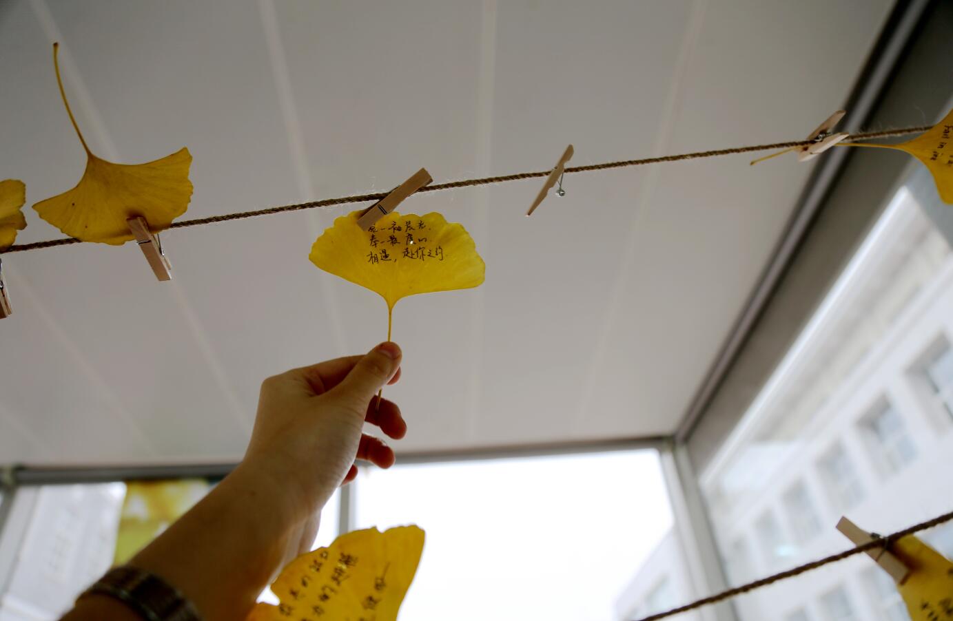 九州ku酷游·(中国)官方网站