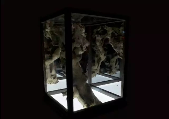 九州ku酷游·(中国)官方网站