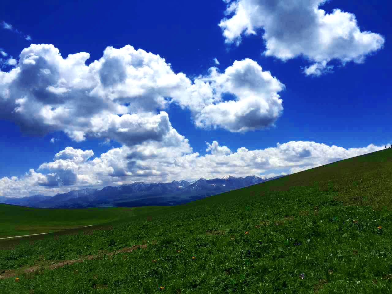 九州ku酷游·(中国)官方网站