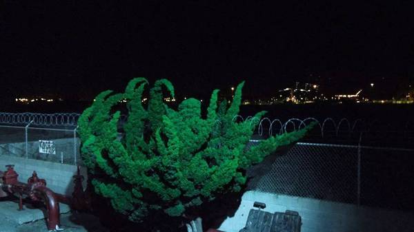 九州ku酷游·(中国)官方网站