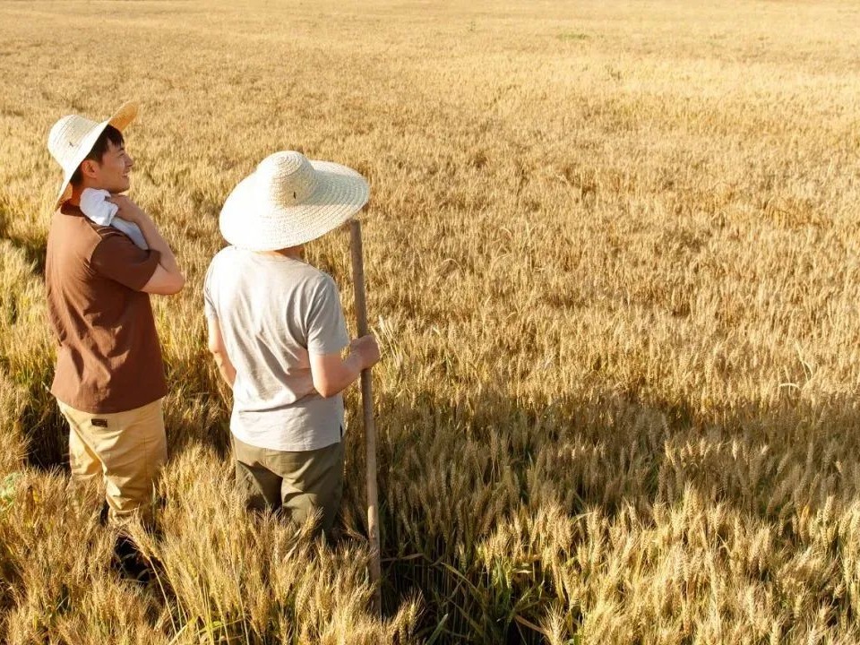 九州ku酷游·(中国)官方网站