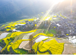 雷明：年轻人，，回到家乡，，让家乡重生