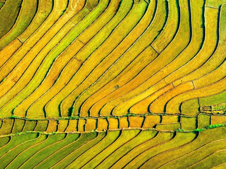 九州ku酷游·(中国)官方网站