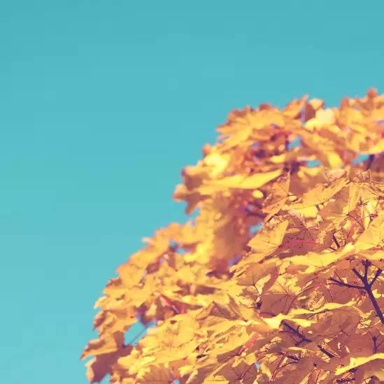 九州ku酷游·(中国)官方网站