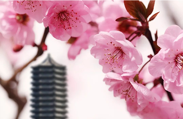 九州ku酷游·(中国)官方网站