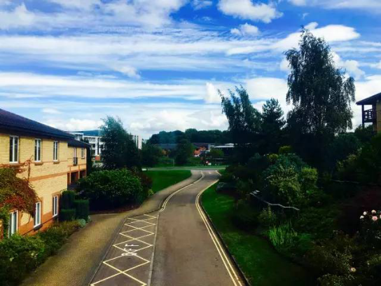 手艺是修行，，品牌是沉淀?