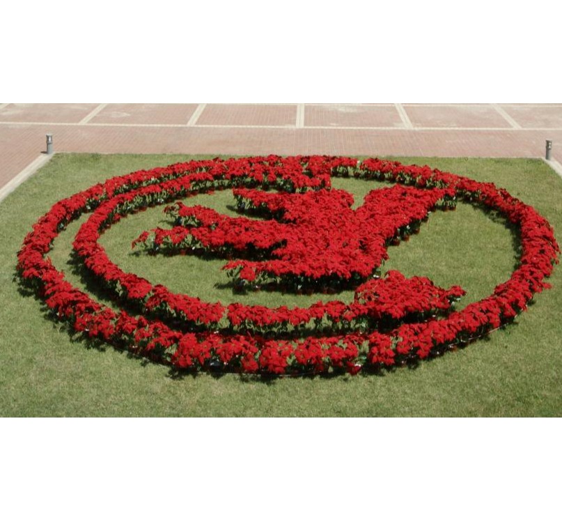 九州ku酷游·(中国)官方网站