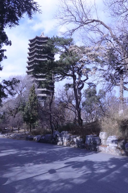 九州ku酷游·(中国)官方网站