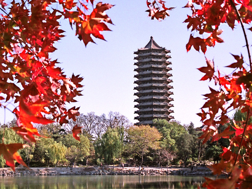  招生丨2020年北大九州ku酷游整日制会计、审计硕士项目报名启动