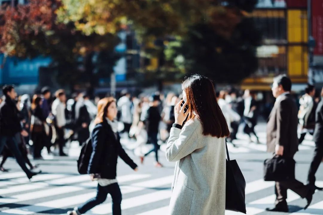 361D99297E81BDBD06D17776A5F_66D9D9DF_16D55