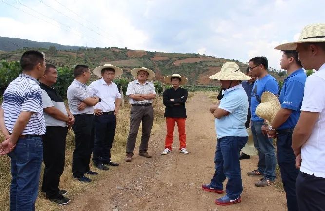 4C2E1CF020AE9AAAC6E488CAA1C_458E2C2E_FCE2