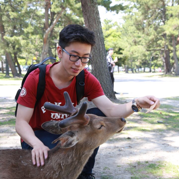 AF6A38AB4AF9DE80ACF9E528274_B7DB9DF2_20FA6