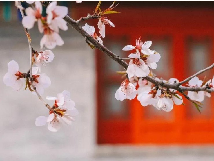 九州ku酷游·(中国)官方网站