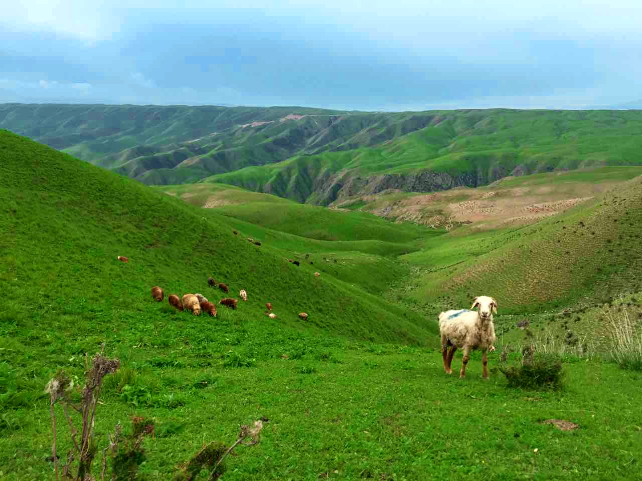 九州ku酷游·(中国)官方网站