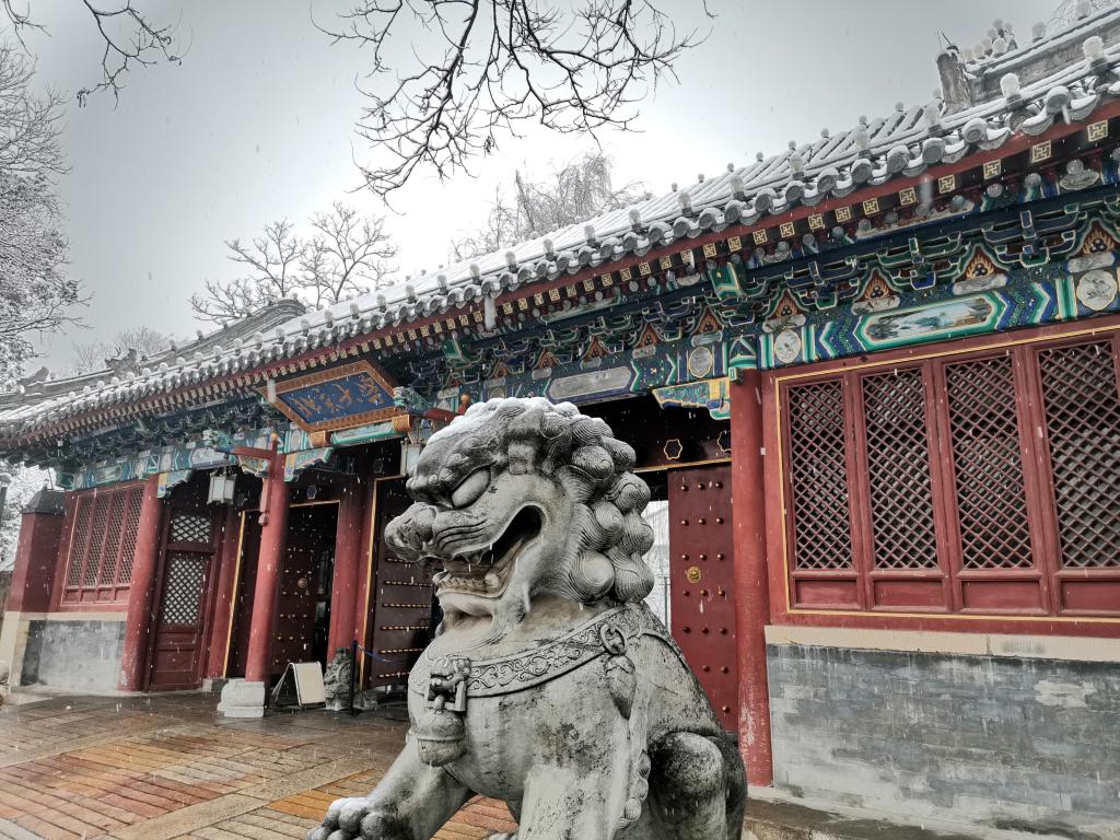  考研倒计时 | 预？？佳欣殖桑 