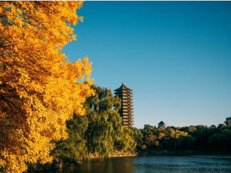 九州ku酷游·(中国)官方网站