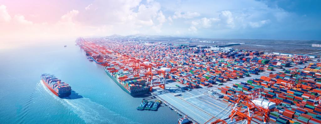 唐 遥：全球供应链和价值链会疫后重组吗？？？？？？