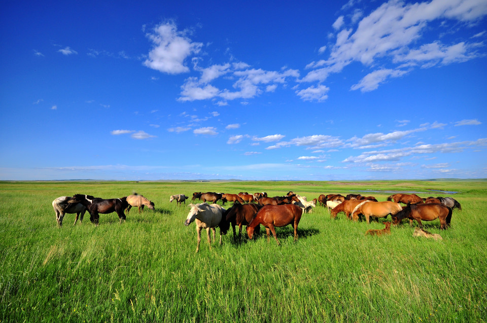 九州ku酷游·(中国)官方网站