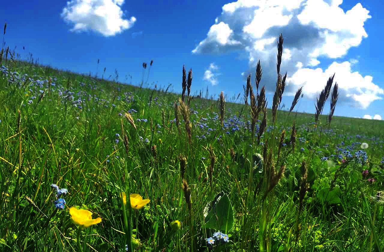 九州ku酷游·(中国)官方网站