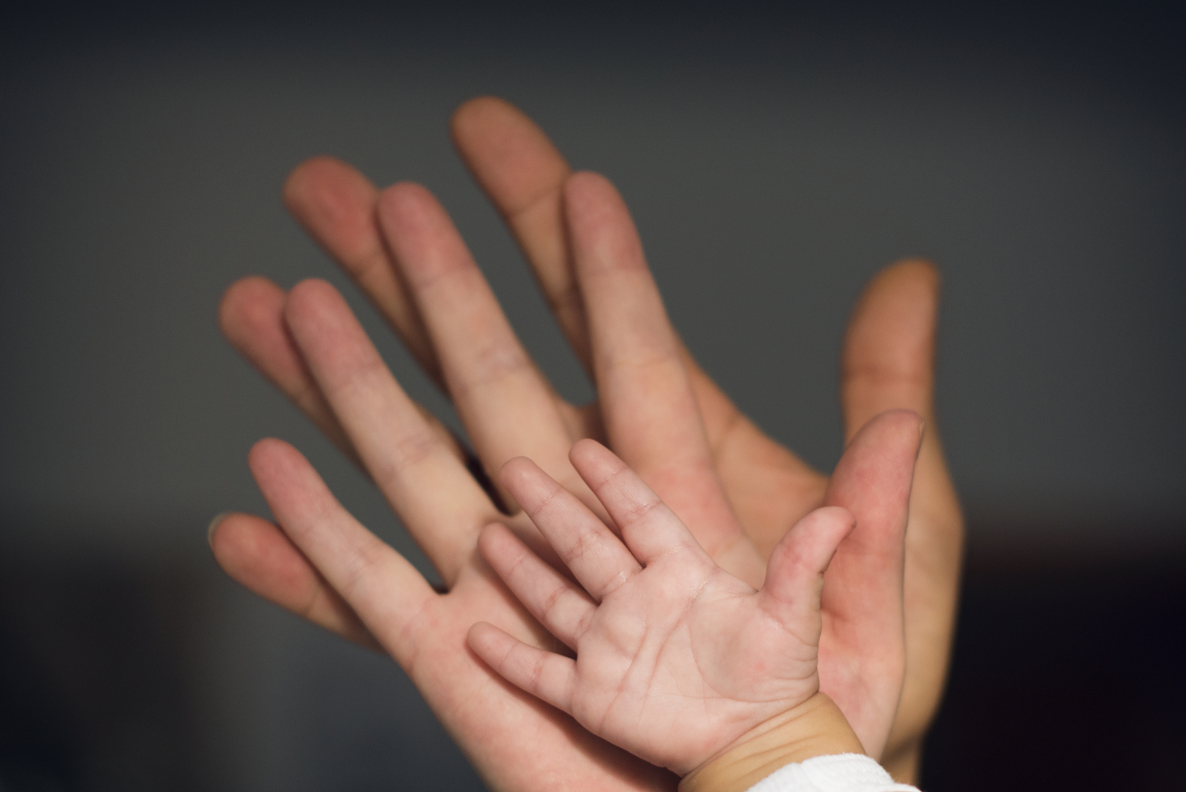 956ABDC4D1B57F16BDE652A83F3_CD735B79_14DE54.jpg?e=