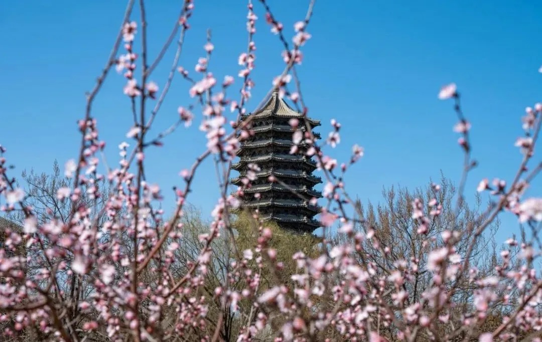 九州ku酷游·(中国)官方网站