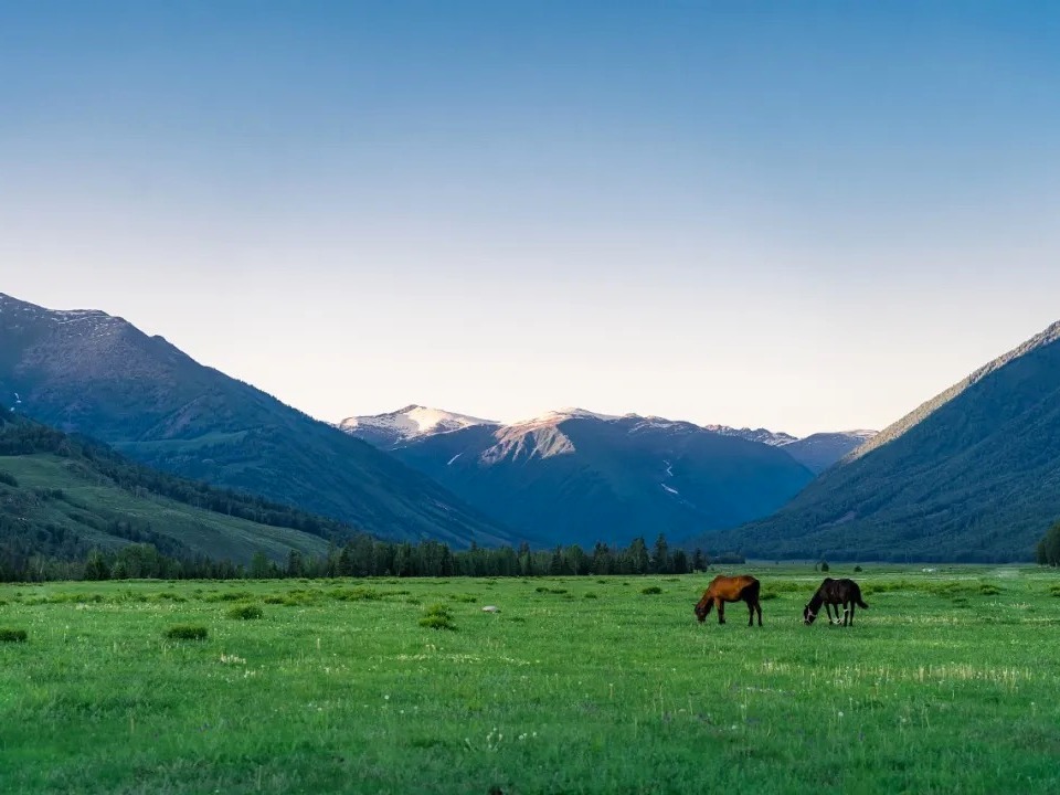 九州ku酷游·(中国)官方网站