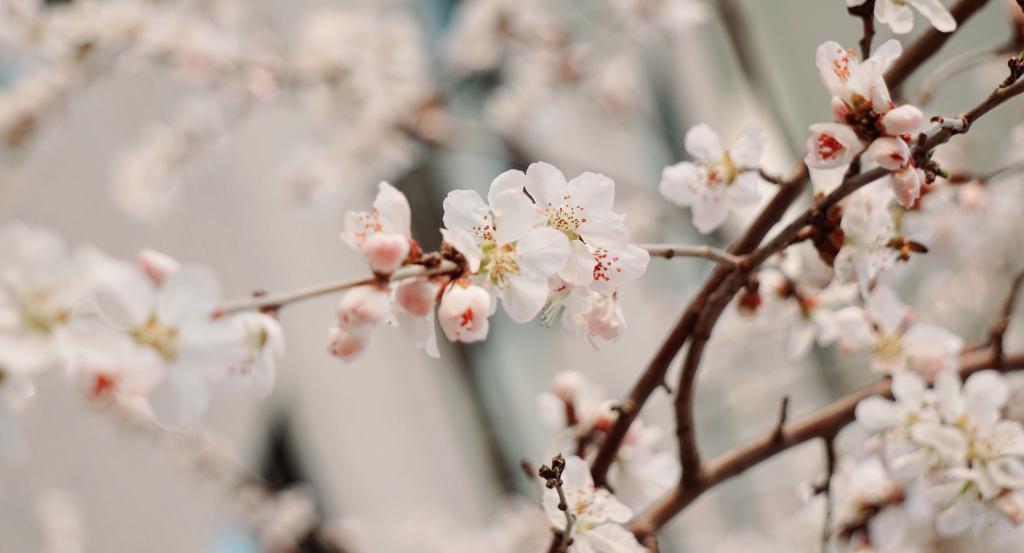 九州ku酷游·(中国)官方网站