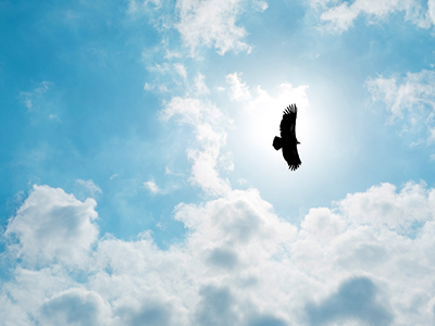 九州ku酷游·(中国)官方网站