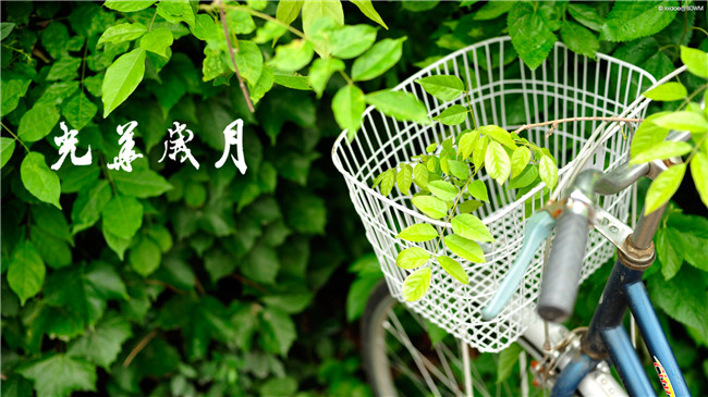 九州ku酷游·(中国)官方网站