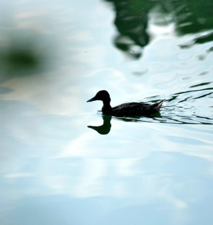 九州ku酷游·(中国)官方网站