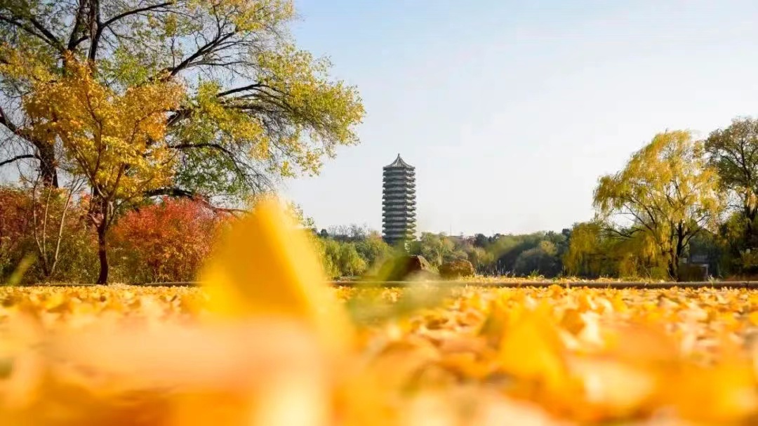 九州ku酷游·(中国)官方网站
