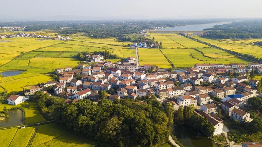 8B42BAB9EA66068013364BF04EA_89042AB0_23D5F