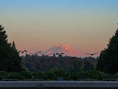 九州ku酷游·(中国)官方网站