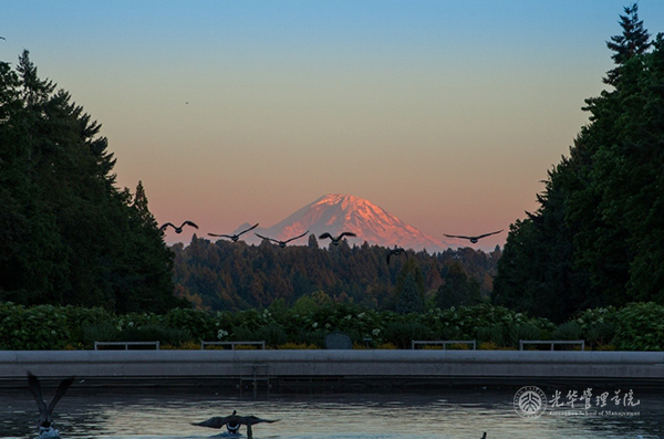 九州ku酷游·(中国)官方网站