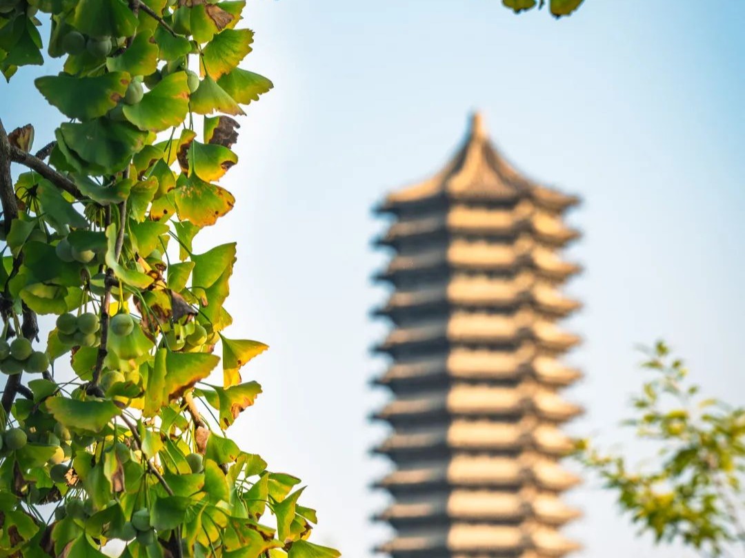 九州ku酷游·(中国)官方网站