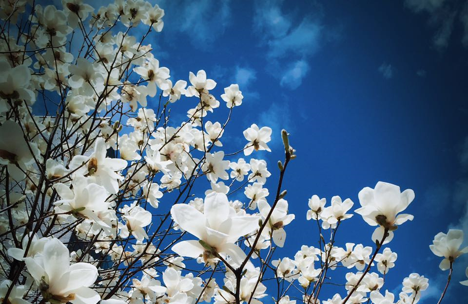 九州ku酷游·(中国)官方网站