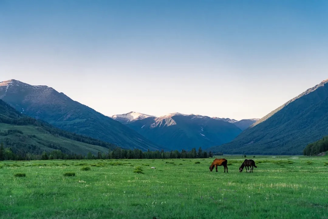 3D8F994FA33B58292675E22119D_0C7D3273_2601D