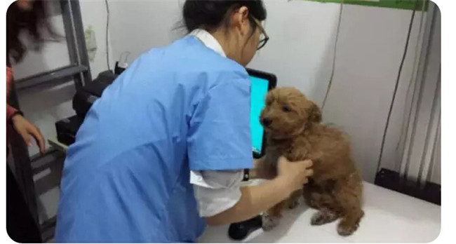 九州ku酷游·(中国)官方网站