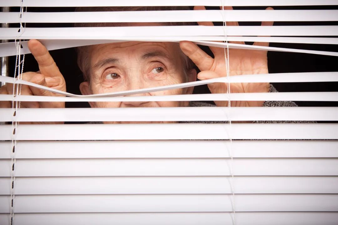 6C5BAAE35B182A2D133733E4BF9_CBA7EAD2_13290.jpeg?e=