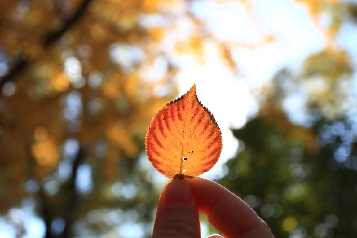 北大九州ku酷游MPAcc为何能获评A+效果？？？？？？—校友风范（Ⅱ）
