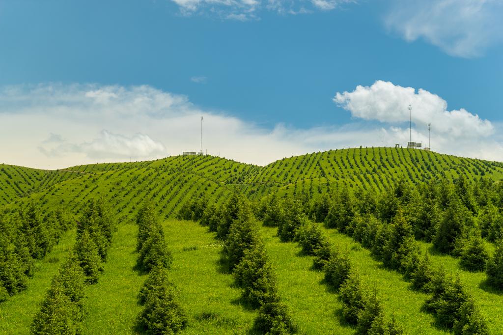 F92039BEBFFE756163C148A602C_8ADF5AD6_1F96B.jpg?e=